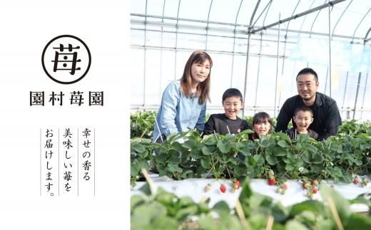 【先行受付】【1月発送】園村苺園 ★最高級苺★糖度15度以上＋3Lサイズ以上★「宇土乃香」苺500ｇ_U74-0051_01
