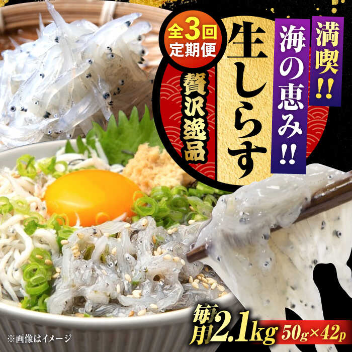 【ふるさと納税】【全3回定期便】鮮度抜群 生しらす 50g×42個 しらす 釜揚げ 冷凍 シラス 小分け パック 干し 魚介類 鮮魚 海鮮 海産物 セット 詰め合わせ ギフト 広島県産 人気 送料無料 江田島市/三島水産株式会社[XCN017]