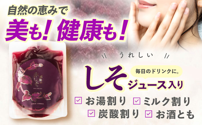 【12回定期便】野菜等詰め合わせプレミアムセット(7～10品目) / 野菜 果物 フルーツ くだもの きのこ しそ / 諫早市 / 松尾農園 [AHAY027]