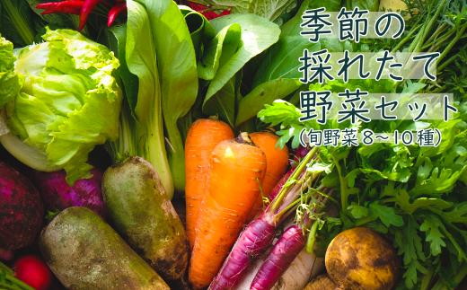 【朝採れ直送】こだわりの土作りが育てた安心野菜セット 厳選8~10品 みつぶ農園 朝採り【季節の旬野菜詰合せ】※6月下旬発送～