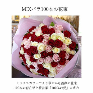 ミックスカラーバラ100本【 薔薇  バラ 花 】
