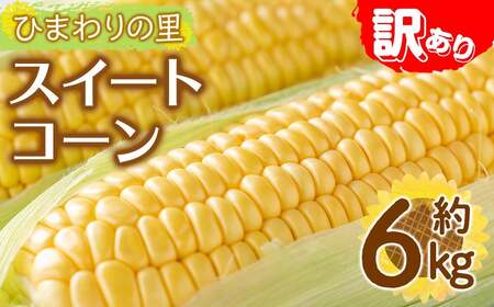 ＜先行予約！2027年6月上旬以降順次発送予定＞＜訳あり・家庭用＞イエローコーン(約6kg) 香川県 国産 トウモロコシ とうもろこし 新鮮 冷蔵便 【man114-B】【Aglio nero】