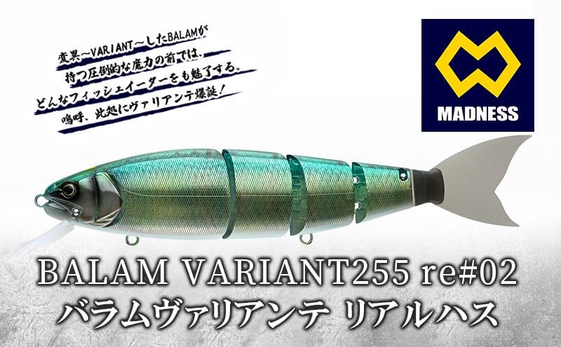 
                  BALAM VARIANT255 re#02 バラムヴァリアンテ リアルハス〈マドネス、ビックベイト、スイムベイト、ジャイアントベイト、釣り、バス釣り、ルアー、釣り具、スポーツ〉
                