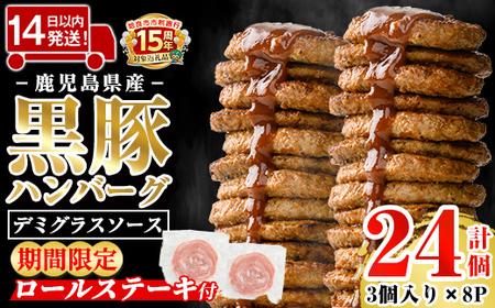 ハンバーグ 黒豚ハンバーグ 湯煎 デミグラス  計24個 (3個入×8P) 【AKR Food Company】 a1003