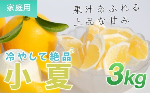 小夏 3kg 家庭用 日向夏 ニューサマーオレンジ 柑橘 みかん ノーワックス こなつ くだもの 果物 産直 旬の果物 お取り寄せ 産地直送 フルーツ 爽やか スッキリ 甘い 高知県 大月町産 コーラルフルーツ農場