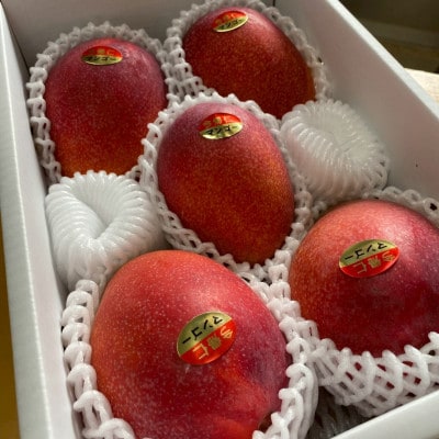 【2026年6月下旬から順次発送・家庭用】みなとばる農園の完熟アップルマンゴー4kg(6～12玉)【配送不可地域：離島】