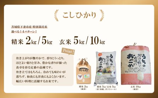 【 11月出荷 】令和7年産 新米 茨城県産 特別栽培米・こしひかり 玄米 5kg （ ビニール ）