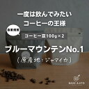 【ふるさと納税】ブルーマウンテンNo.1 100g×2(豆)