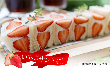 ＜佐賀県産いちご＞いちごさん 1パック（450g） 佐賀県/JAからつ 唐津うまかもん市場[41ABCA001]