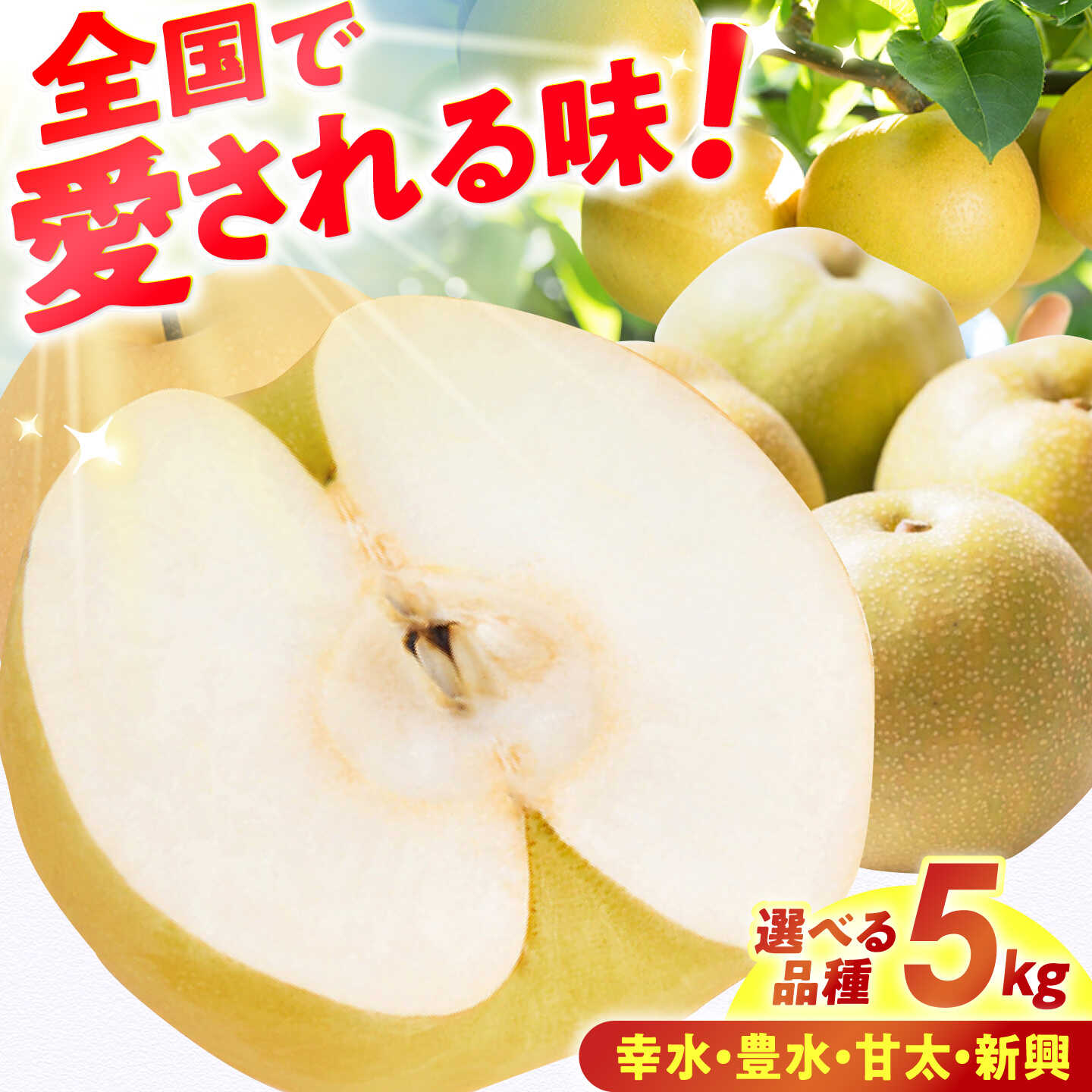 【ふるさと納税】【★先行予約★ 2026年7月下旬より発送】【選べる品種4種】梨 幸水 / 豊水 / 新興 / 甘太 約5kg なし ナシ 果物 フルーツ 広川町 / JAふくおか八女農産物直売所どろや[AFAB060]