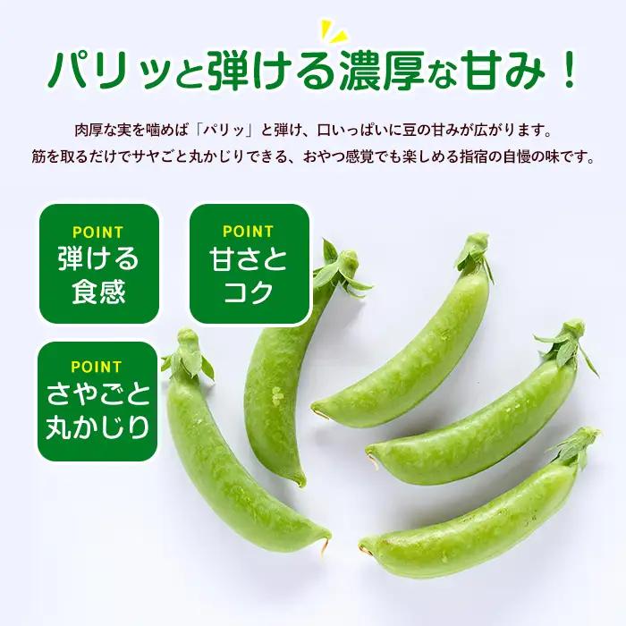 2027年2月上旬以降発送 ご家庭用スナップエンドウ約1kg IB092-001