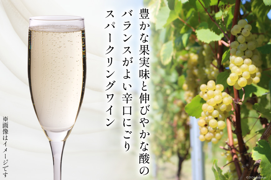 白 ワイン テンポ ビアンコ 750ml [Poggio Verde（ポッジョ ヴェルデ） 長野県 池田町 48110668] 白ワイン わいん スパークリング 国産ぶどう使用 お酒 酒 アルコール_