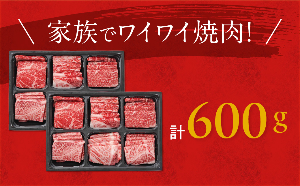 宮崎牛6種盛り焼肉食べ比べ600g_21-N201