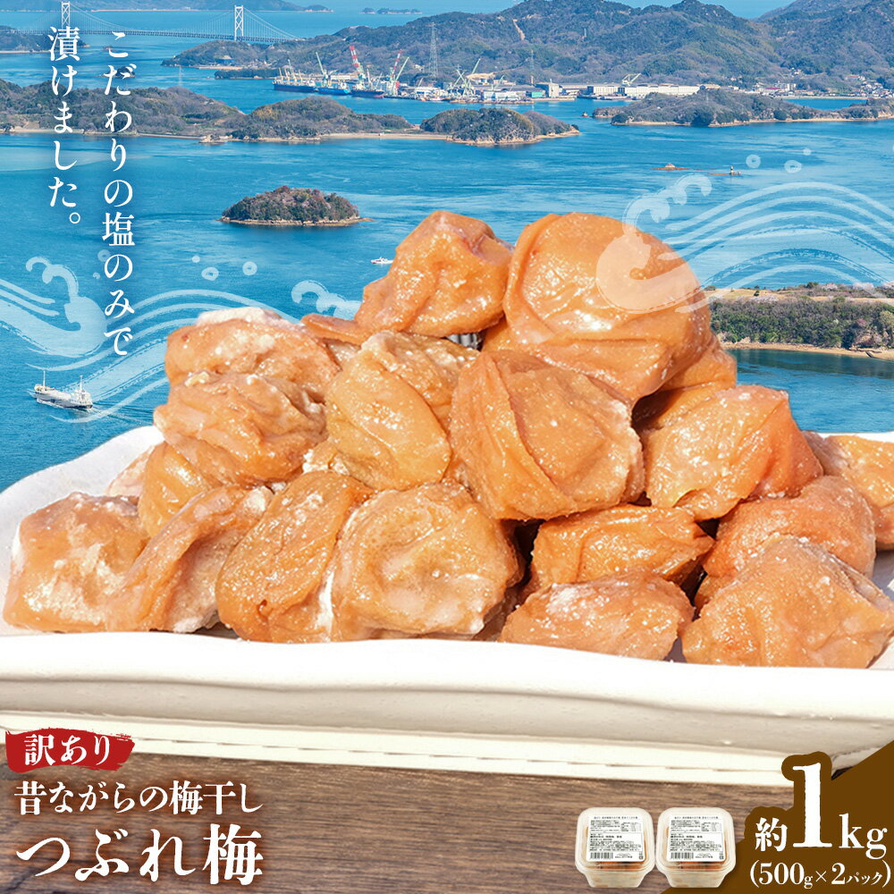【ふるさと納税】昔ながらの梅干し 訳あり つぶれ梅 約1kg 500g 2パック 農業法人 株式会社紀州梅香《30日以内に出荷予定(土日祝除く)》 和歌山県 日高川町 梅 うめ フルーツ 果物