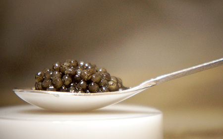 盃 Sakazuki Caviar：池月酒造 純米吟醸 縁の舞50使用