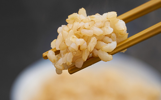 新米【令和7年産】たこまいらいふ萩原農場の多古米コシヒカリ(玄米)20kg【配送不可地域：離島・沖縄県】