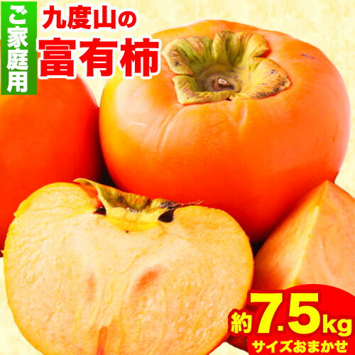 【ふるさと納税】〈ご家庭用〉 柿の名産地 九度山の富有柿 約7.5kg 厳選館《2026年11月上旬-12月上旬頃出荷》和歌山県 日高町 柿 カキ フルーツ ジューシー