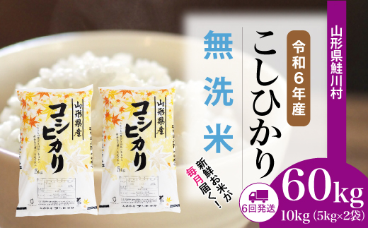 ＜令和6年産米＞ 約2週間でお届け開始　コシヒカリ【無洗米】60kg定期便(10kg×6回)　鮭川村