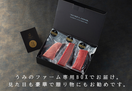 【高知県大月町産】うみのファーム お刺身用本まぐろ赤身・中トロ・大トロ  計600ｇ