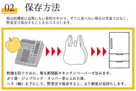 BH004【数量限定】 幸水梨 約2.5kg（5玉～8玉）【新鮮 / 農家直送 / 夏の味覚 / 贅沢宝庫 / フルーツ】