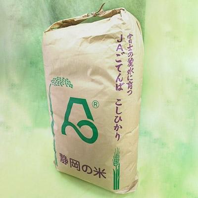 ふるさと納税 裾野市 無洗米　ごてんばこしひかり　5kg〜松井米店の五つ星お米マイスター厳選〜 |  | 02