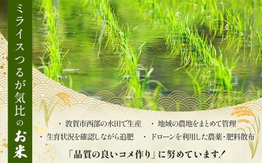[108-a004]【定期便】≪6ヶ月≫令和8年産米 あきさかり精米 5kg
