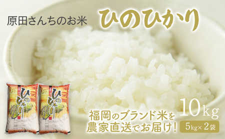 米  「原田さんちのお米」ヒノヒカリ 10kg  米 