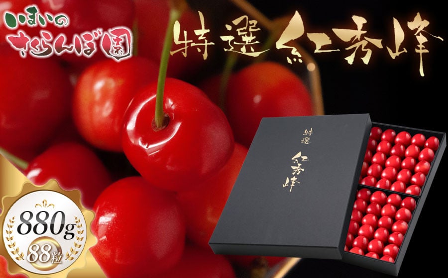 
            【令和8年産先行予約】【贈答用】さくらんぼ「紅秀峰」 88粒　(2Lサイズ) いまいのさくらんぼ園 K-8114
          