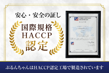 麺 ぷるんちゃん グルテンフリー 100g 20袋 [um40azo700000] 麺