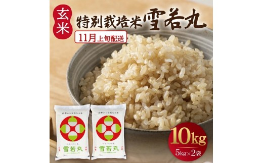 11月上旬配送／令和8年産【玄米】つや姫マイスターが作った 特別栽培米『雪若丸』10kg(5kg×2袋)［減農薬・減化学肥料］ MA SC0747