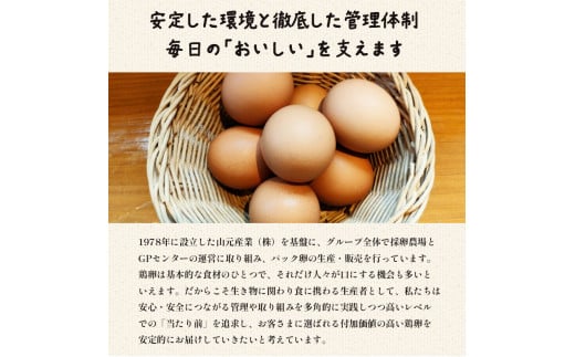 【定期便】隔週/８回 卵 合計960個 無選別 MS〜LL 京の贈り物 20個×6パック×8回 104,000円