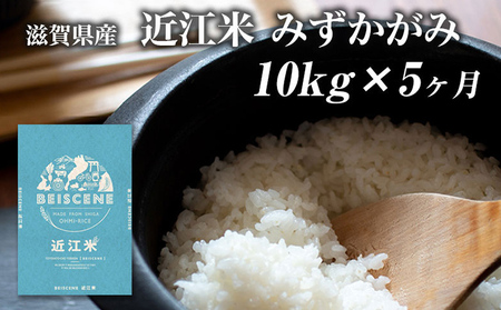 【定期便】令和7年産新米　滋賀県豊郷町産　近江米 みずかがみ　10kg×5ヶ月 お米 白米 ごはん ライス 主食 炭水化物 おにぎり 