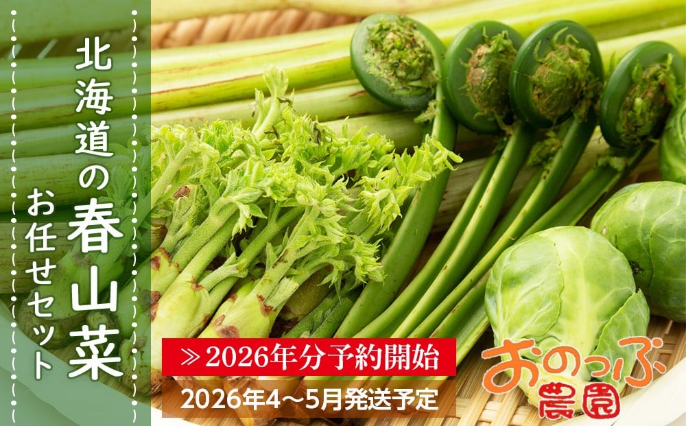 
            2026年分予約開始★北海道の春山菜お任せセット《おのっぷ農園》
          