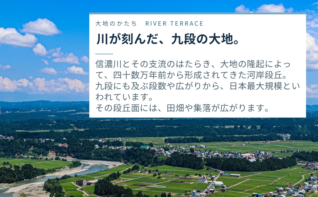 にんじんが苦手という方にもおすすめ！