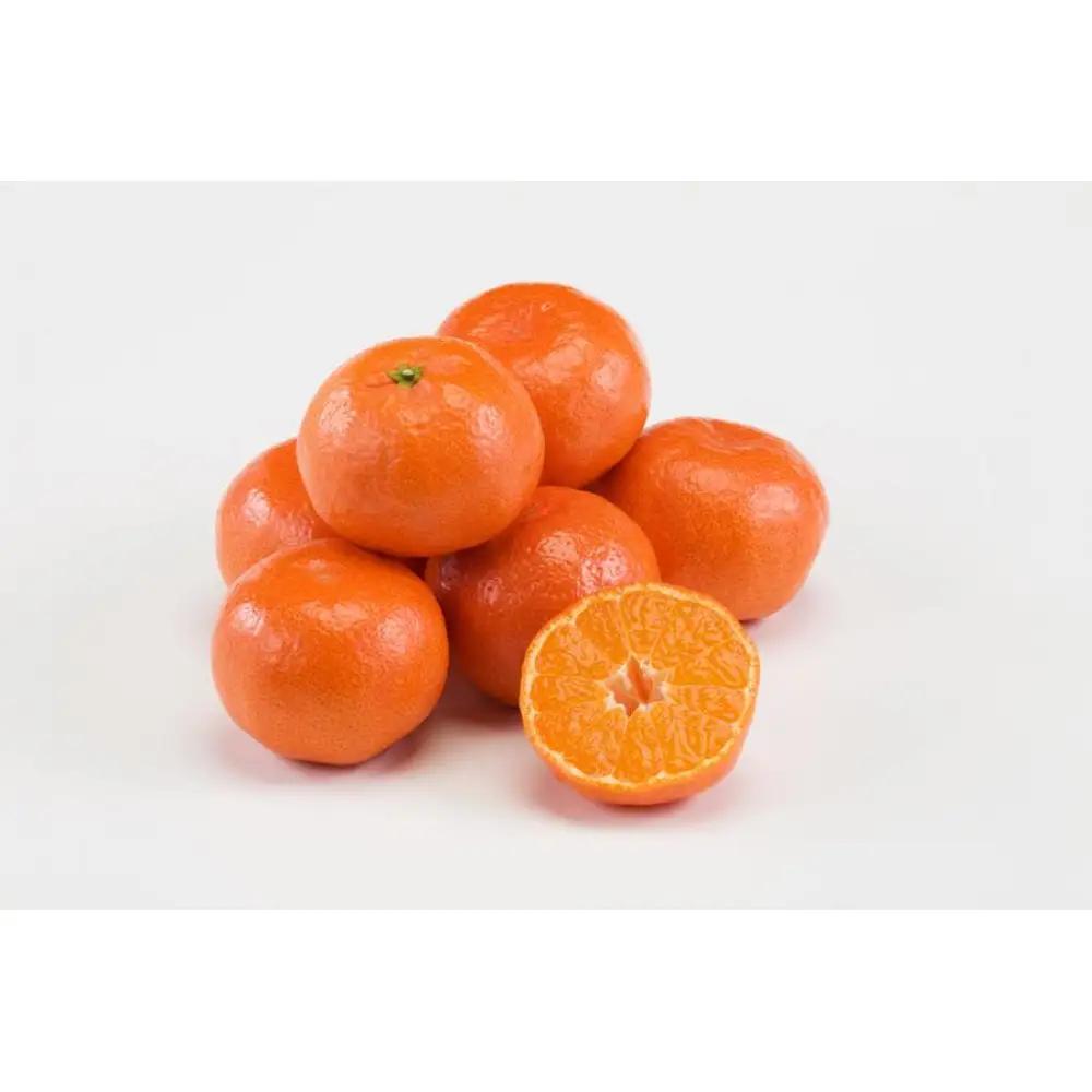 小原紅早生みかん 訳あり約1.5kg 温室栽培