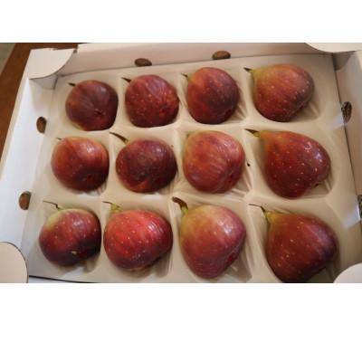 ふるさと納税 田原市 完熟いちじく[極]9〜12玉 　約1kg |  | 03