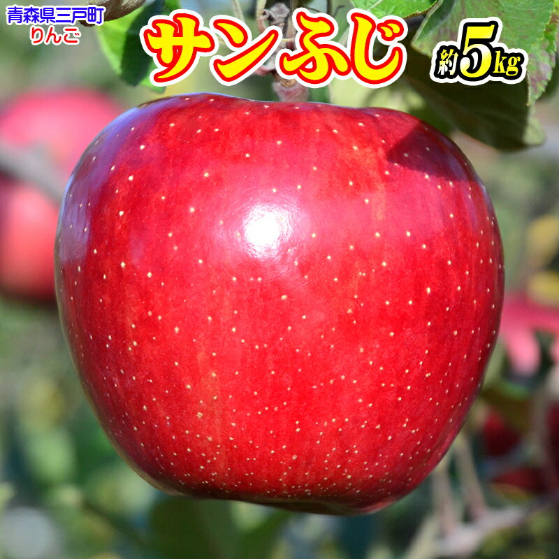 人気ナンバー1 りんご サンふじ 14〜20玉 約5kg(12月中旬以降発送分)