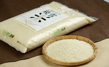 お米 数量限定 飛雪米 結びの神 5kg 【hsj002B】