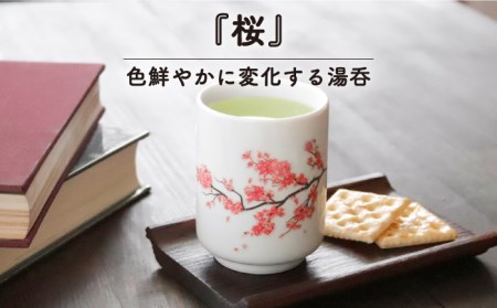 【美濃焼】 温度で変化する 湯呑 (2個) 『桜』 【丸モ高木陶器】 [TBA113]