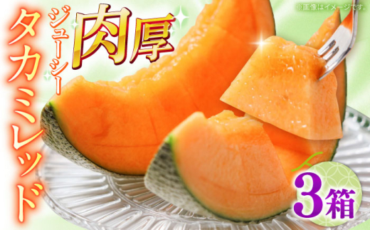 【2027年5月〜発送】タカミメロン レッド 3箱（1箱 3～6玉） / メロン めろん フルーツ 果物 / 南島原市 / 南島原果物屋 [SCV033]