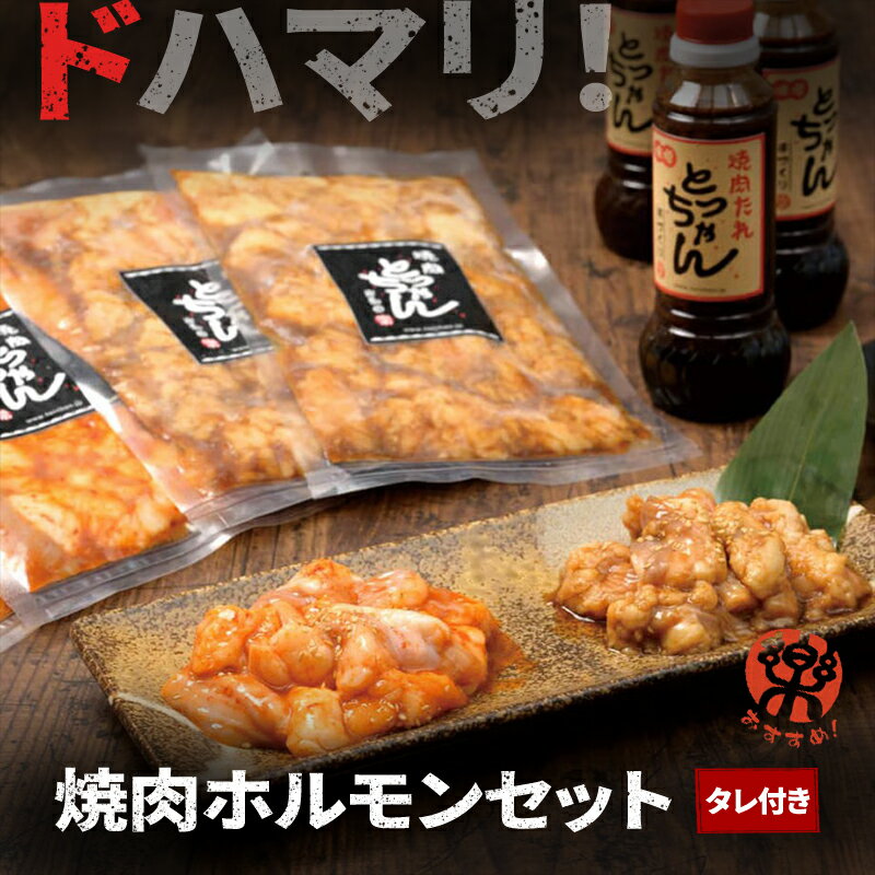 【ふるさと納税】ドハマリ！焼肉ホルモンセット（タレ付き）| 肉 鶏肉 牛肉 たれ 焼肉 BBQ バーベキュー アウトドア