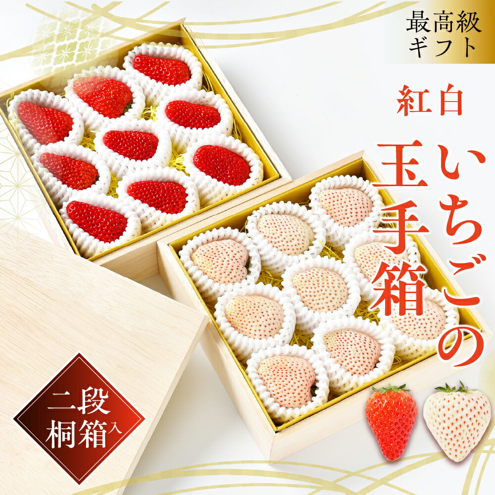 【ふるさと納税】≪先行予約≫ 最高級ギフト 紅白いちごの玉手箱 2段桐箱入 (各約300g / 計約600g) 大玉 紅白 天使のいちご 紅ほっぺ or ゆめのか いちご 食べ比べ セット イチゴ 苺 ブランドイチゴ 果物 フルーツ スイーツ 高糖度 産地直送 旬 贈答 ギフト 愛知県 豊橋市