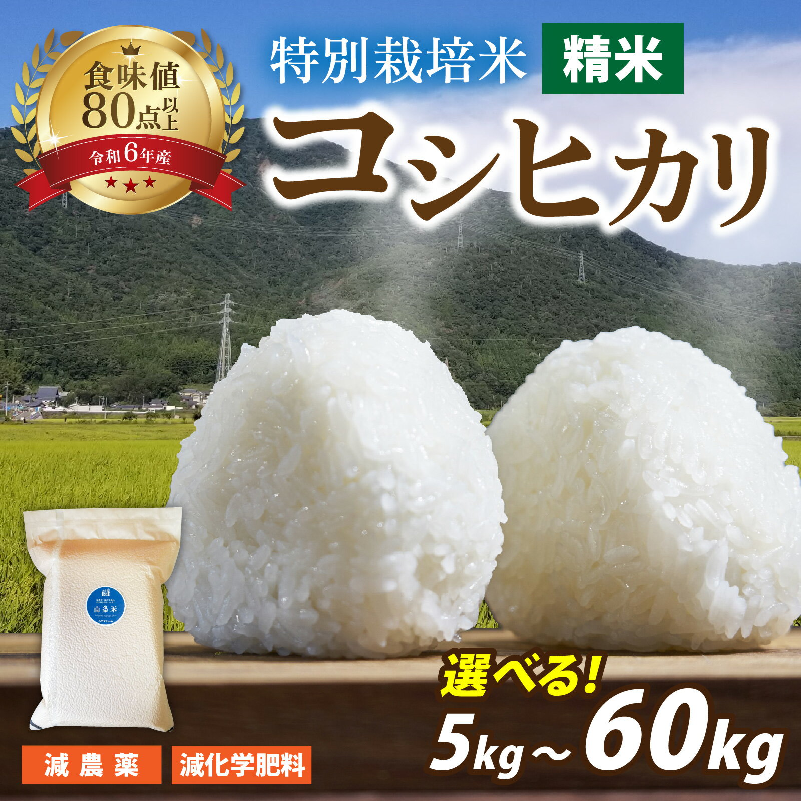 【先行予約】【ふるさと納税】【 令和7年産 新米 】南条米 特別栽培米コシヒカリ 真空パック 精米5kg／10kg　選べる容量・配送回数【単発便（1回）、定期便（3ヶ月・6ヶ月）】【10月上旬より順次発送】