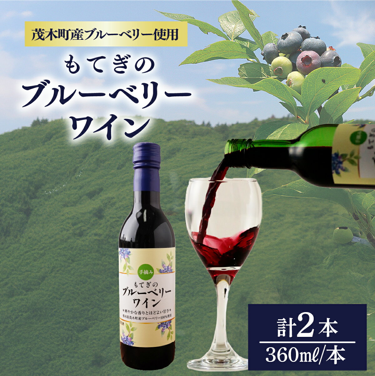【ふるさと納税】茂木産ブルーベリーを使用した　ブルーベリーワイン2本セット | ワイン ブルーベリー 赤ワイン フルーツワイン フルーツ フルーティー お酒 酒 アルコール7% お土産 プレゼント ギフト 贈り物 地元産 手摘み 収穫 果実 果汁 発酵 晩酌 家飲み もてぎプラザ