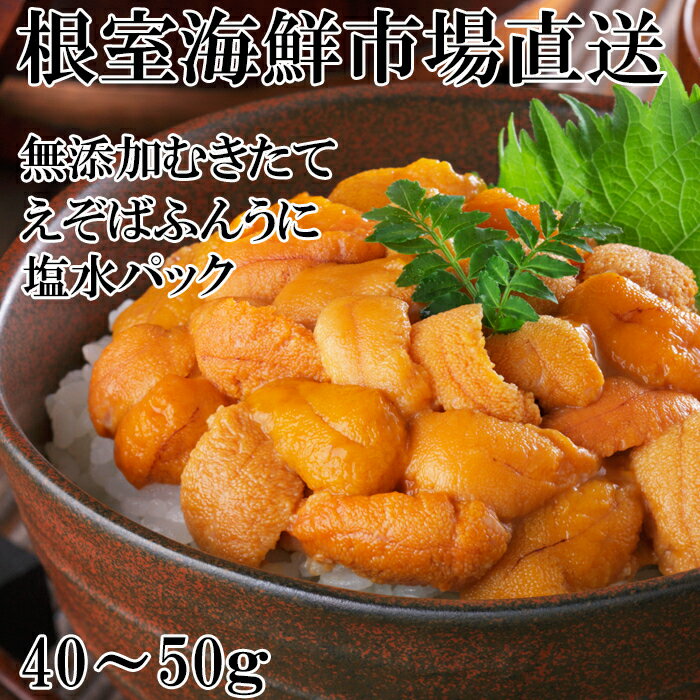 【ふるさと納税】無添加むきたてエゾバフンウニ(赤系)塩水パック40～50g×1P G-14069