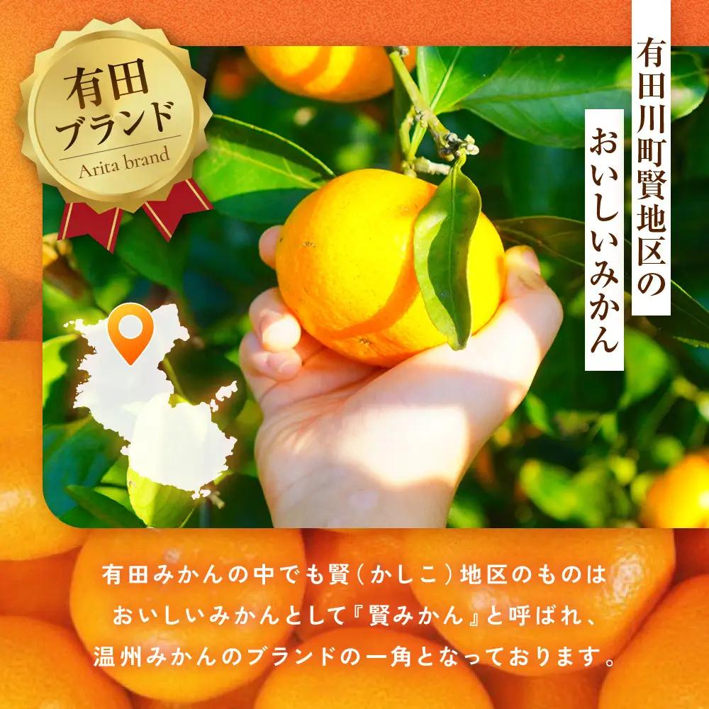 [秀品]有田のブランド「賢みかん」5kg(Mサイズ) ［2026年11月中旬頃より順次発送］