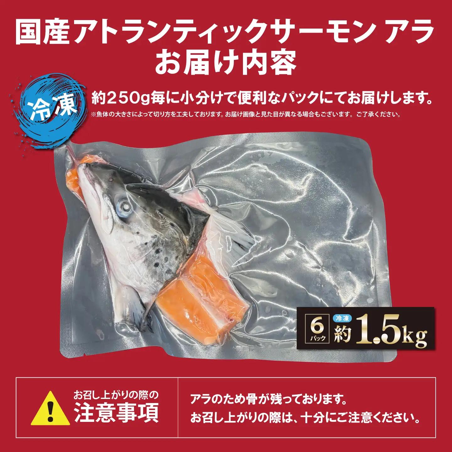 小山町産 アトランティックサーモン アラ×6P 約1.5kg 国産サーモン