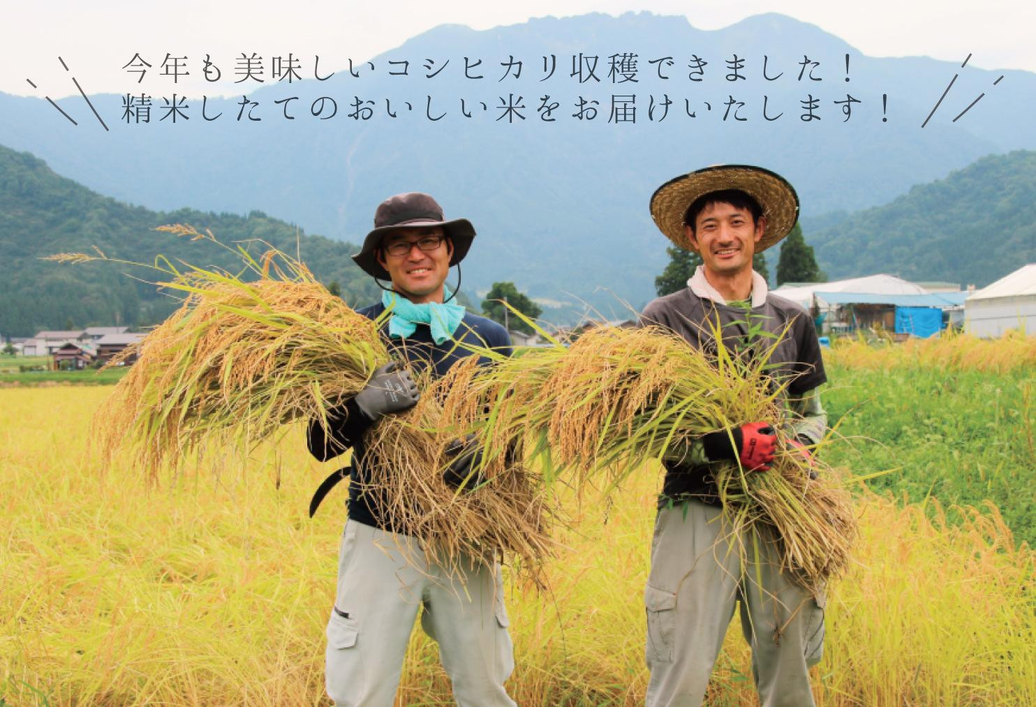 【令和７年産】南魚沼産コシヒカリ 無洗米４kg（２ｋｇ×２）【５割減農薬栽培米】城内農産