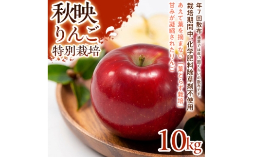 ＜濃厚な甘みと酸味＞秋映(あきばえ)10kg 1セット【1780229】