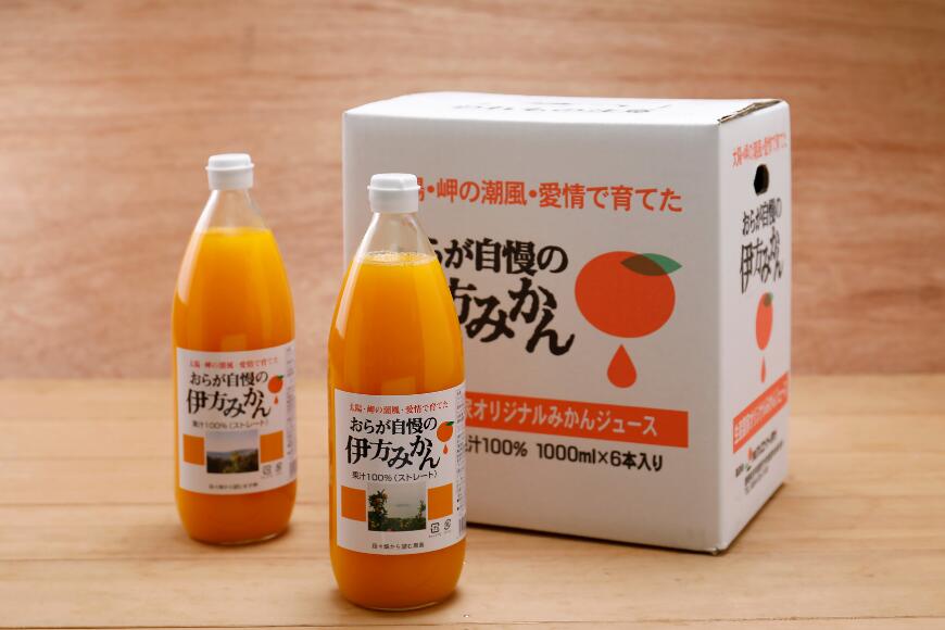 【ふるさと納税】【先行予約】【愛媛県産】おらが自慢の伊方みかんジュース（1000ml×6本）ストレート果汁100％（2025年12月より順次発送） 【ふるさと納税 人気 おすすめ ランキング みかん 蜜柑 ジュース みかんジュース クリエイト伊方 愛媛県 伊方町 送料無料】 IKTI008